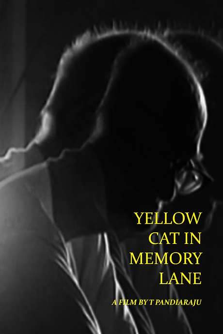 Yellow Cat in Memory Lane